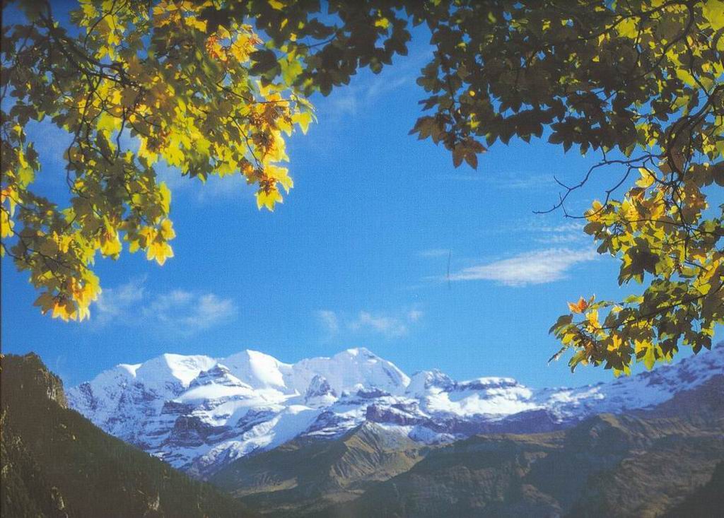 Previsualizacin del fondo